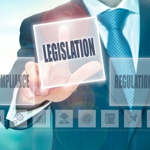 Company directors legal responsibilities
